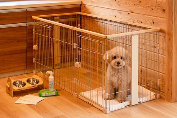 愛犬とお泊まり