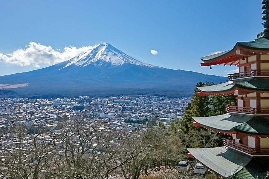 新倉山浅間公園桜まつり3月30日(土）～4月14日（日）