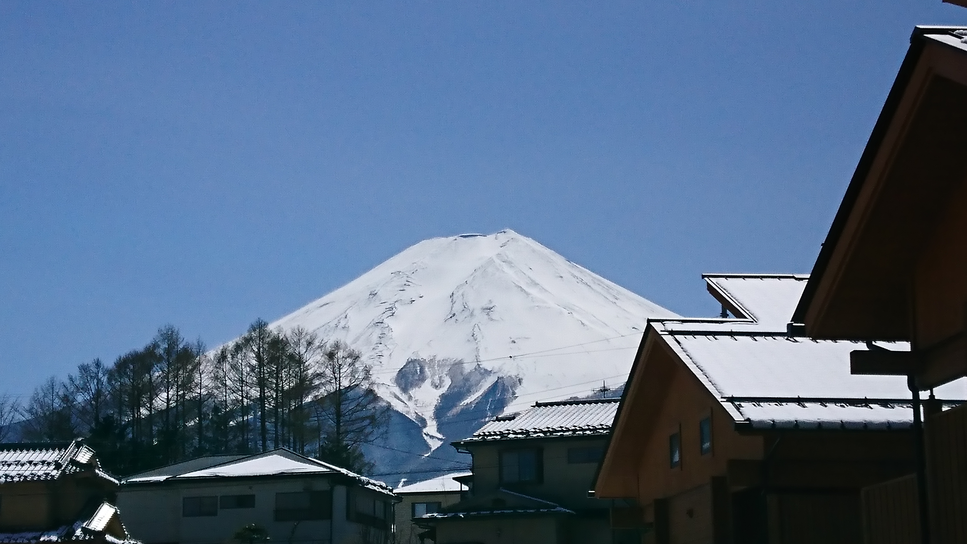 今日の富士山（4月の雪化粧）と桜と雪のコラボ
